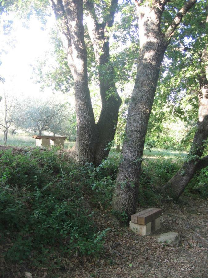 S. Bartolomeo Ii° - "La Loggetta" Daire Montepulciano Stazione Dış mekan fotoğraf